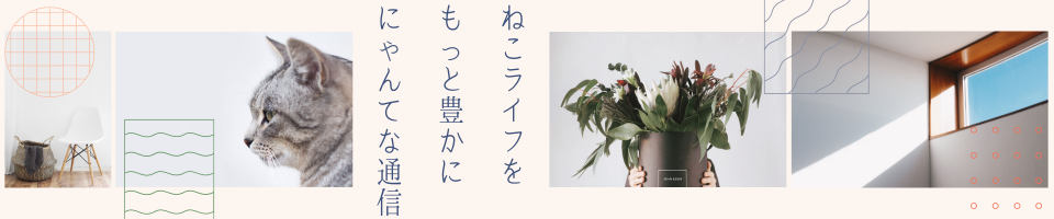 にゃんてな通信